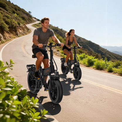 Ruitoo E20PRO Folding Electric Bike